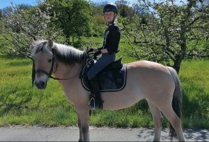 Janina und Pferd Lady - Reitunterricht in Sondelfingen